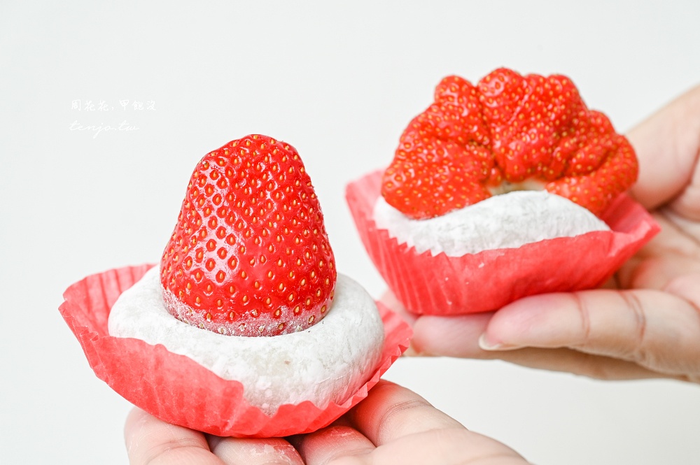 【行天宮美食】不老客家傳統麻糬 台北超人氣排隊麻糬推薦！草莓大福只要40元起便宜好吃