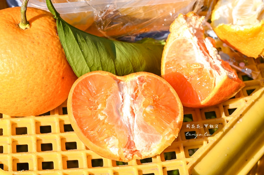 【和歌山景點推薦】秋津野ガルテン 舊校舍改建柑橘天堂!採水果體驗品嚐橘子聖代可麗餅 【和歌山景點推薦】秋津野ガルテン 舊校舍改建柑橘天堂!採水果體驗品嚐橘子聖代可麗餅