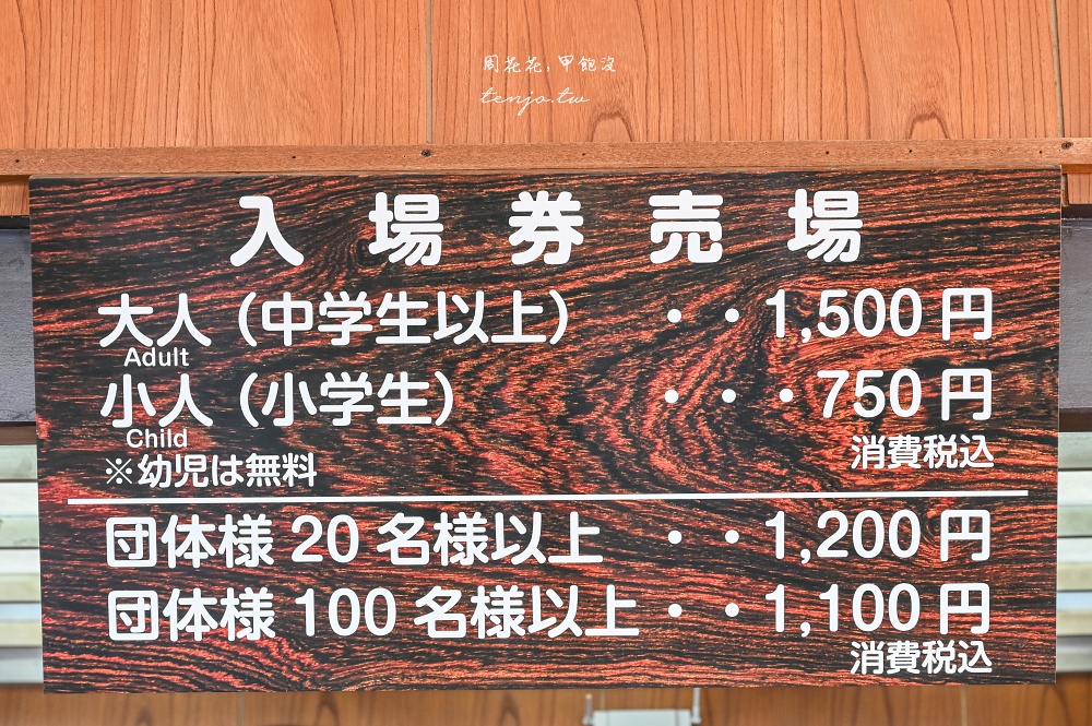 【南紀白濱景點】三段壁 絕美名勝海景隱藏36公尺深三段壁洞窟！門票交通一日遊行程建議