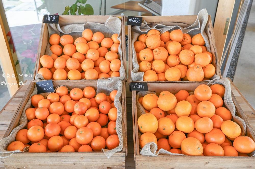 【和歌山美食】Cafe みかんの木 伊藤農園直營咖啡廳！現榨柑橘果汁橘子聖代好吃推薦