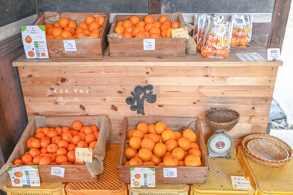 【和歌山美食】Cafe みかんの木 伊藤農園直營咖啡廳！現榨柑橘果汁橘子聖代好吃推薦