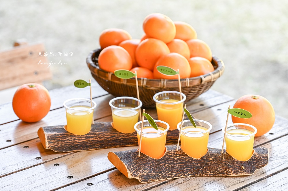 【和歌山美食】Cafe みかんの木 伊藤農園直營咖啡廳！現榨柑橘果汁橘子聖代好吃推薦