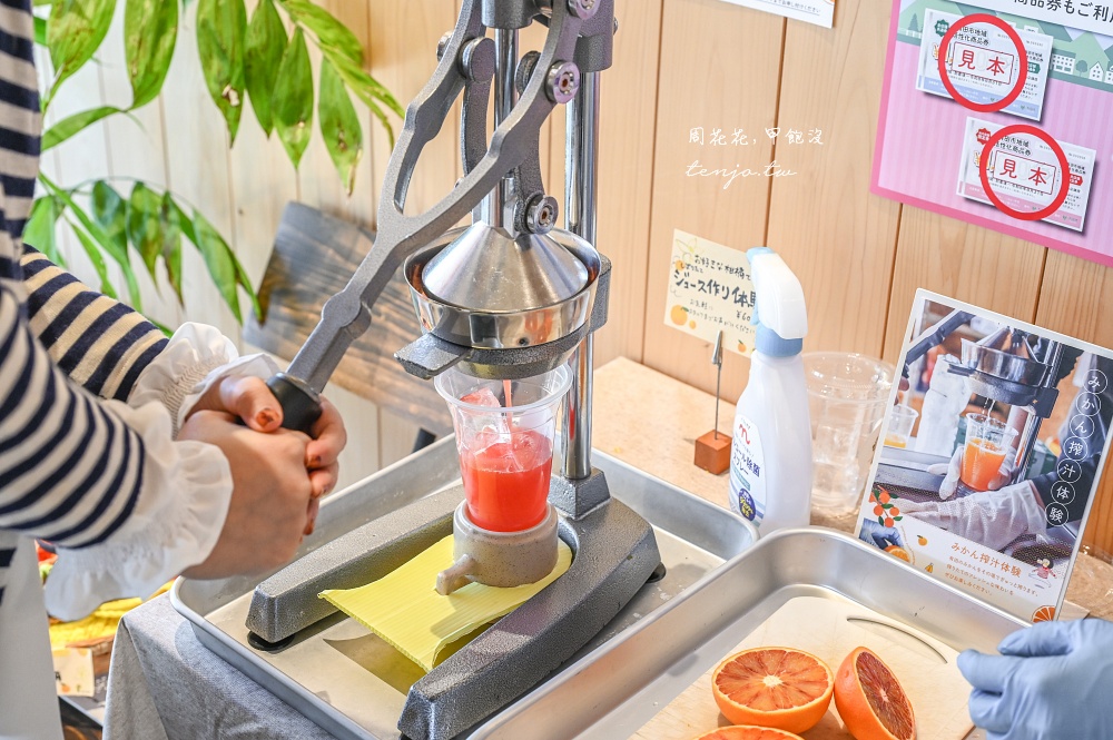 【和歌山美食】Cafe みかんの木 伊藤農園直營咖啡廳！現榨柑橘果汁橘子聖代好吃推薦