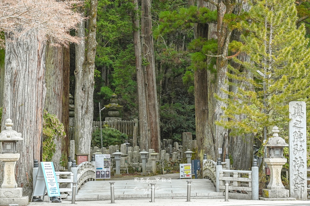 【和歌山景點】奧之院生身供 高野山最具代表性的宗教儀式！僧侶每天為弘法大師空海送餐