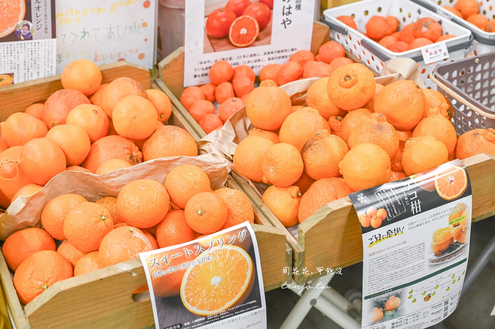 【和歌山咖啡廳】觀音山水果農園 色彩繽紛水果聖代推薦！百年歷史果園直送新鮮度破表