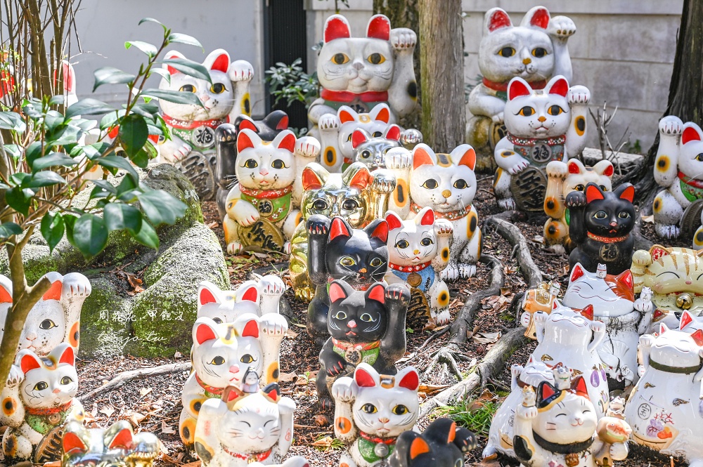 【和歌山加太】淡嶋神社 供奉上萬尊人形娃娃特色神社！USO!?JAPAN介紹恐怖靈異景點