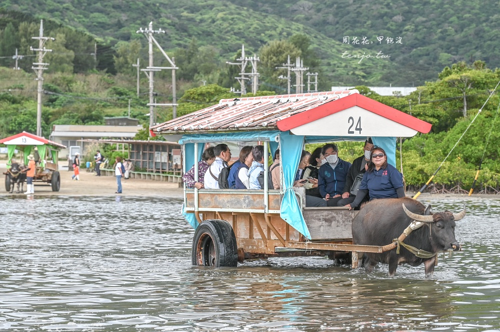 【石垣島景點推薦】由布島水牛車體驗！聽三線演奏渡水到由布島亞熱帶植物樂園看蝴蝶