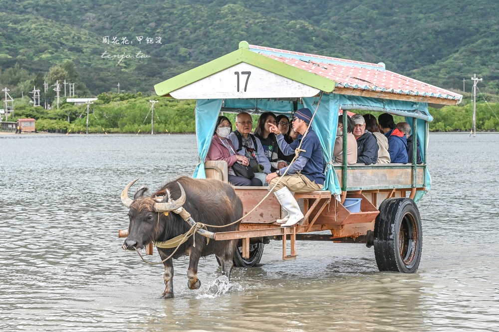 【石垣島景點推薦】由布島水牛車體驗！聽三線演奏渡水到由布島亞熱帶植物樂園看蝴蝶