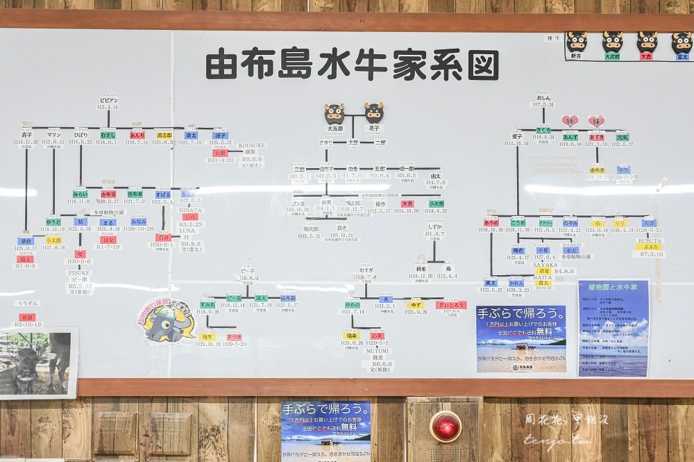【石垣島景點推薦】由布島水牛車體驗!聽三線演奏渡水到由布島亞熱帶植物樂園看蝴蝶 【石垣島景點推薦】由布島水牛車體驗!聽三線演奏渡水到由布島亞熱帶植物樂園看蝴蝶