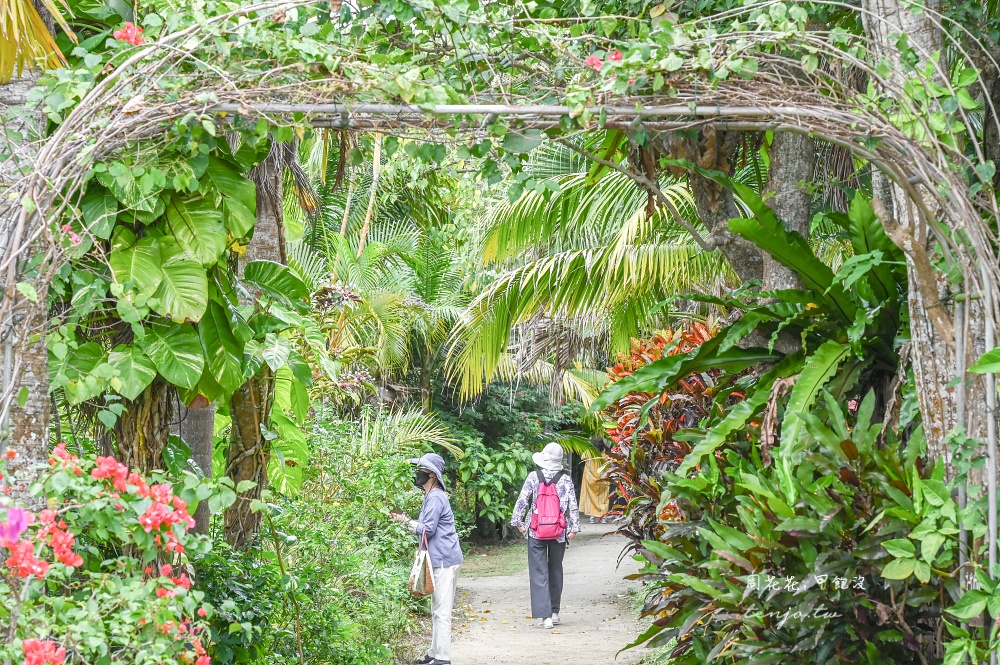 【石垣島景點推薦】由布島水牛車體驗!聽三線演奏渡水到由布島亞熱帶植物樂園看蝴蝶 【石垣島景點推薦】由布島水牛車體驗!聽三線演奏渡水到由布島亞熱帶植物樂園看蝴蝶
