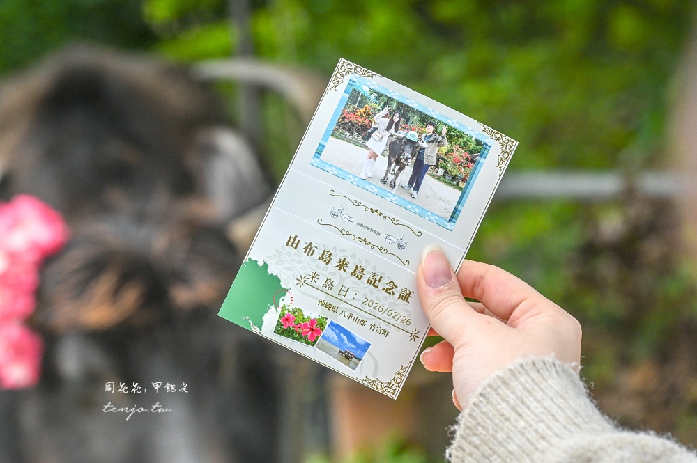 【石垣島景點推薦】由布島水牛車體驗!聽三線演奏渡水到由布島亞熱帶植物樂園看蝴蝶 【石垣島景點推薦】由布島水牛車體驗!聽三線演奏渡水到由布島亞熱帶植物樂園看蝴蝶