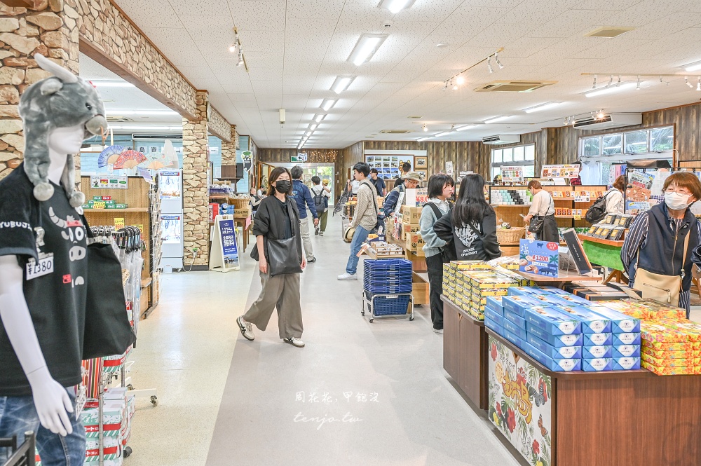 【石垣島景點推薦】由布島水牛車體驗!聽三線演奏渡水到由布島亞熱帶植物樂園看蝴蝶 【石垣島景點推薦】由布島水牛車體驗!聽三線演奏渡水到由布島亞熱帶植物樂園看蝴蝶