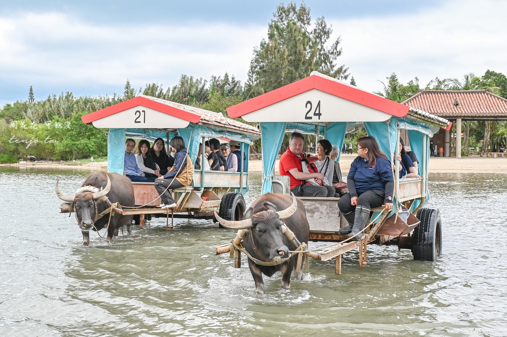 【石垣島景點推薦】由布島水牛車體驗!聽三線演奏渡水到由布島亞熱帶植物樂園看蝴蝶 【石垣島景點推薦】由布島水牛車體驗!聽三線演奏渡水到由布島亞熱帶植物樂園看蝴蝶