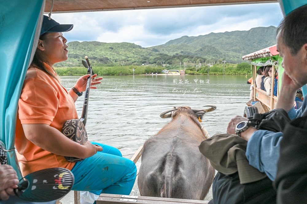 【石垣島景點推薦】由布島水牛車體驗!聽三線演奏渡水到由布島亞熱帶植物樂園看蝴蝶 【石垣島景點推薦】由布島水牛車體驗!聽三線演奏渡水到由布島亞熱帶植物樂園看蝴蝶