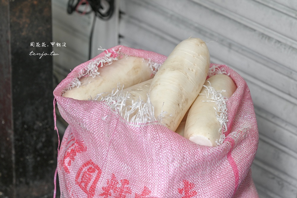 【北投美食早餐推薦】阿輝伯蘿蔔絲餅 40年老店純手工現做！先打電話預定才不用現場排隊
