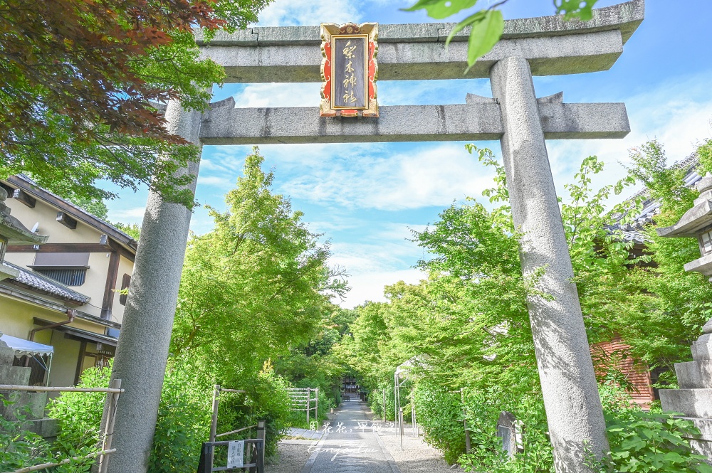 【京都咖啡推薦】Coffee Base NASHINOKI 隱身梨木神社寶藏咖啡店！京都三大名水冷萃