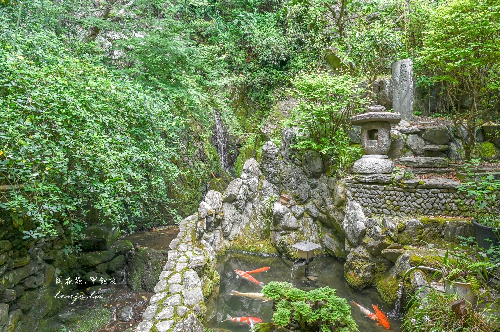 【德島美食推薦】和田乃屋本店 400年歷史阿波名物瀧之燒餅！山林老房子環境清幽景觀佳