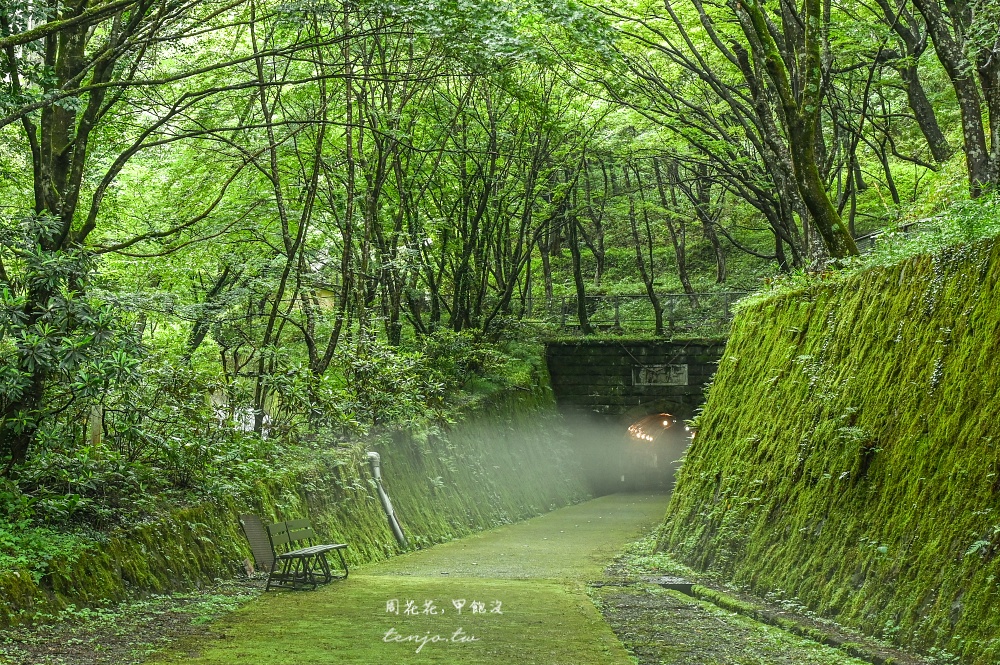 【大分景點美食地圖】自由行自駕四天三夜全攻略!台灣虎航直飛大分機場輕鬆抵達溫泉鄉 【大分景點美食地圖】自由行自駕四天三夜全攻略!台灣虎航直飛大分機場輕鬆抵達溫泉鄉