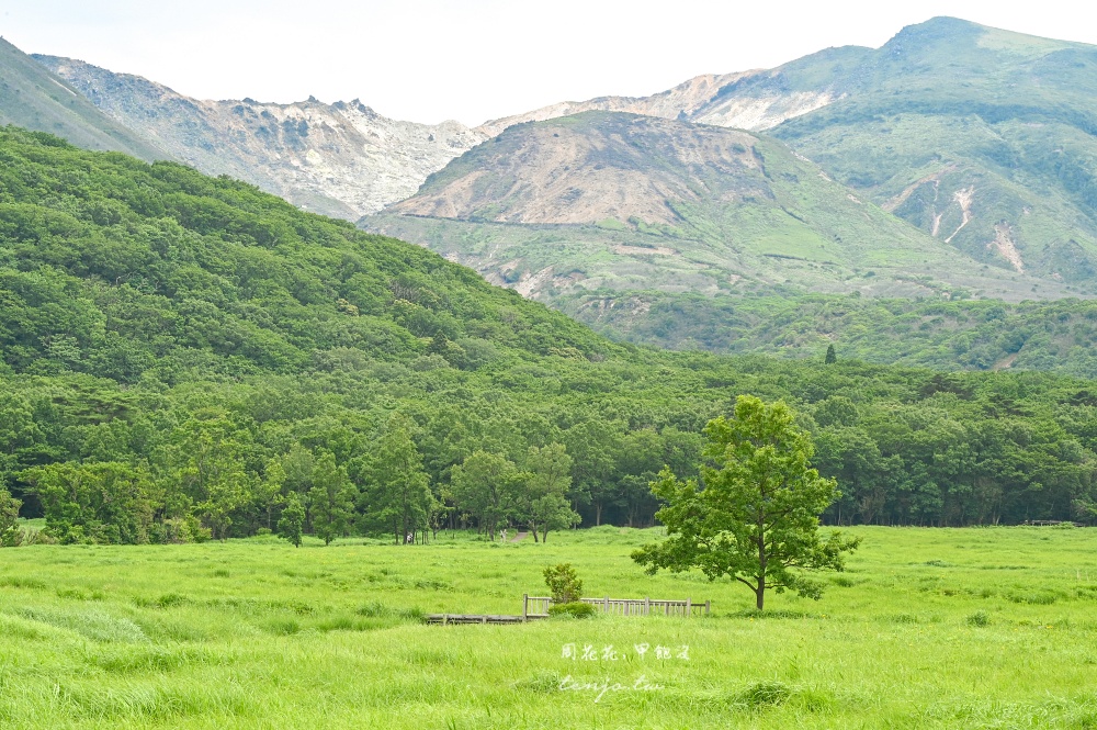 【大分景點美食地圖】自由行自駕四天三夜全攻略!台灣虎航直飛大分機場輕鬆抵達溫泉鄉 【大分景點美食地圖】自由行自駕四天三夜全攻略!台灣虎航直飛大分機場輕鬆抵達溫泉鄉