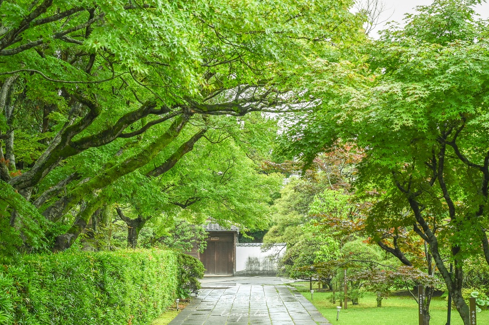 【大分縣日出町美食】的山莊 百年歷史家屋品味季節懷石料理！日本皇室曾造訪文化資產