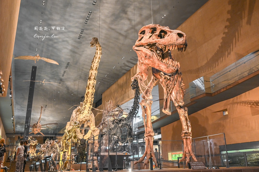 【北九州市立自然歷史博物館】西日本規模最大收藏品超過9,000件！恐龍迷必訪門票便宜