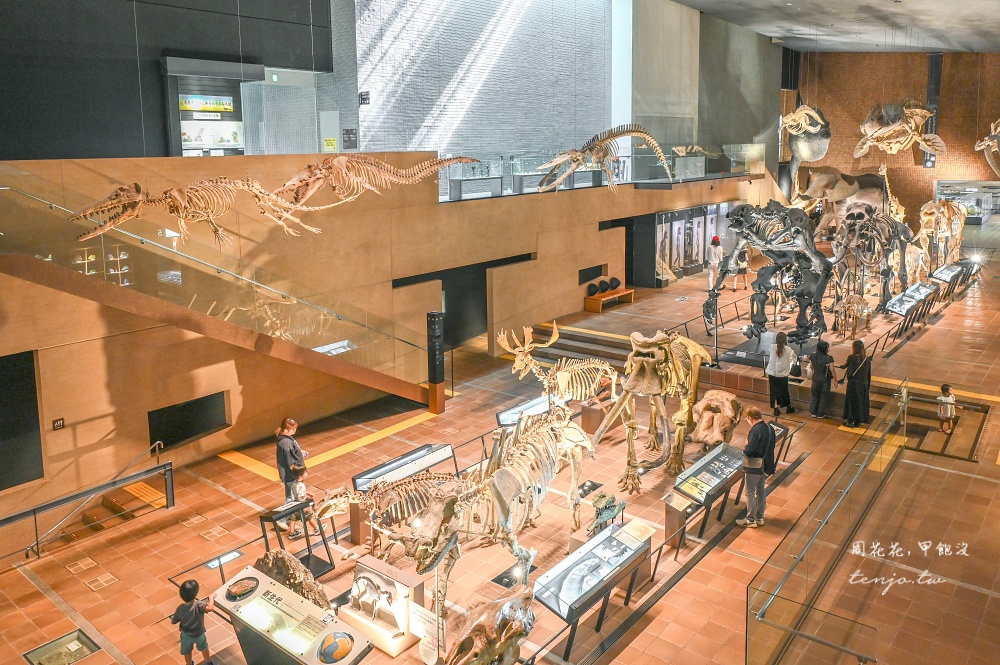 【北九州市立自然歷史博物館】西日本規模最大收藏品超過9,000件！恐龍迷必訪門票便宜