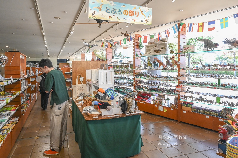【北九州市立自然歷史博物館】西日本規模最大收藏品超過9,000件！恐龍迷必訪門票便宜
