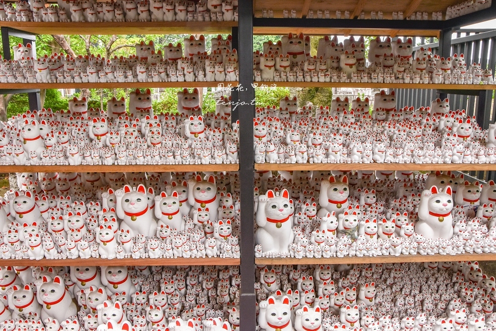 【東京特色神社】豪德寺 上千隻招財貓招來幸運和幸福！交通方便東京近郊一日遊貓旅行