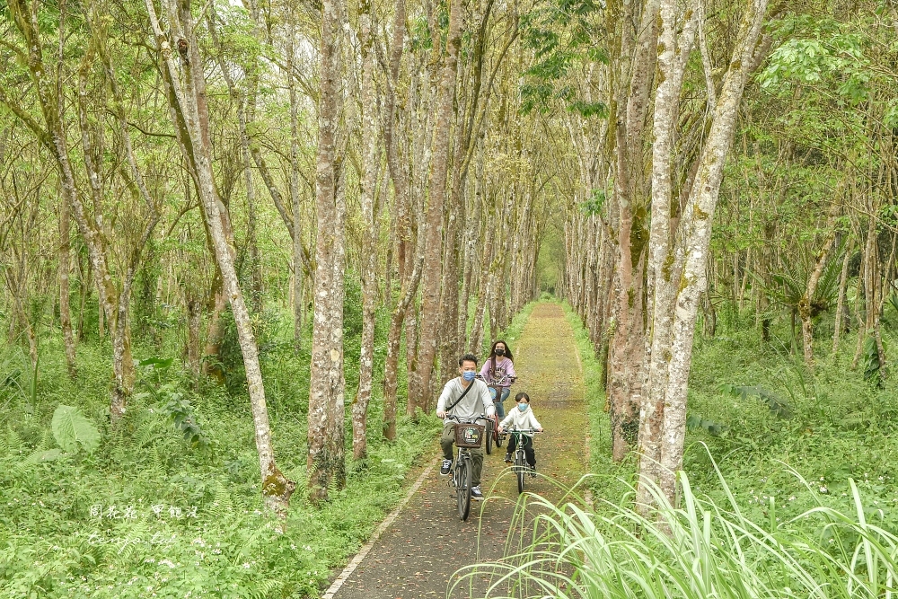 【花蓮光復景點】大農大富平地森林園區 租腳踏車一日遊行程！免門票免費親子景點推薦