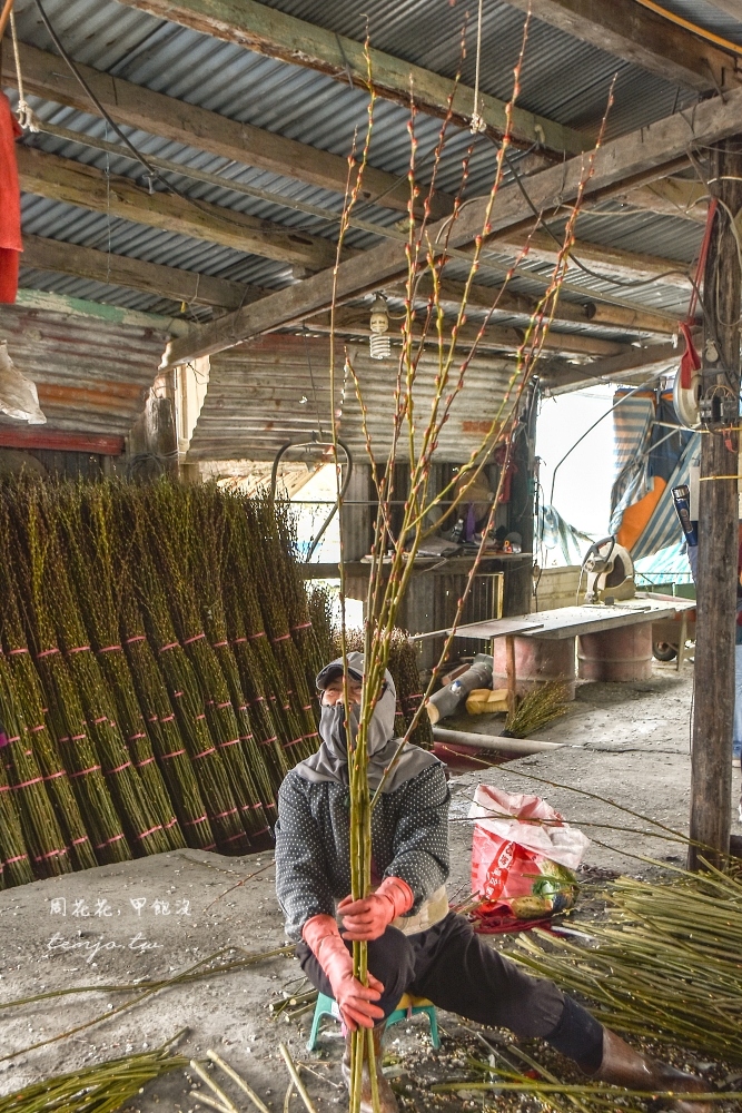【宜蘭三星景點】銀柳故鄉一日遊 走進銀柳田認識銀柳採收和製程！還有DIY浮游花體驗