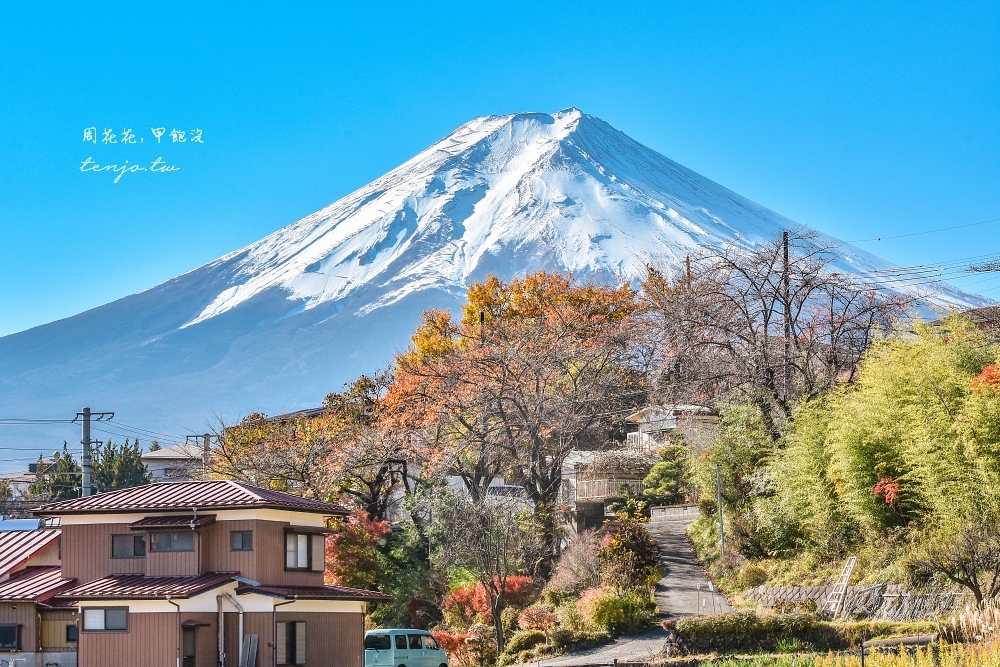 【山梨縣景點】新倉富士淺間神社 絕美富士山景！河口湖紅葉櫻花景點推薦一日遊交通方便