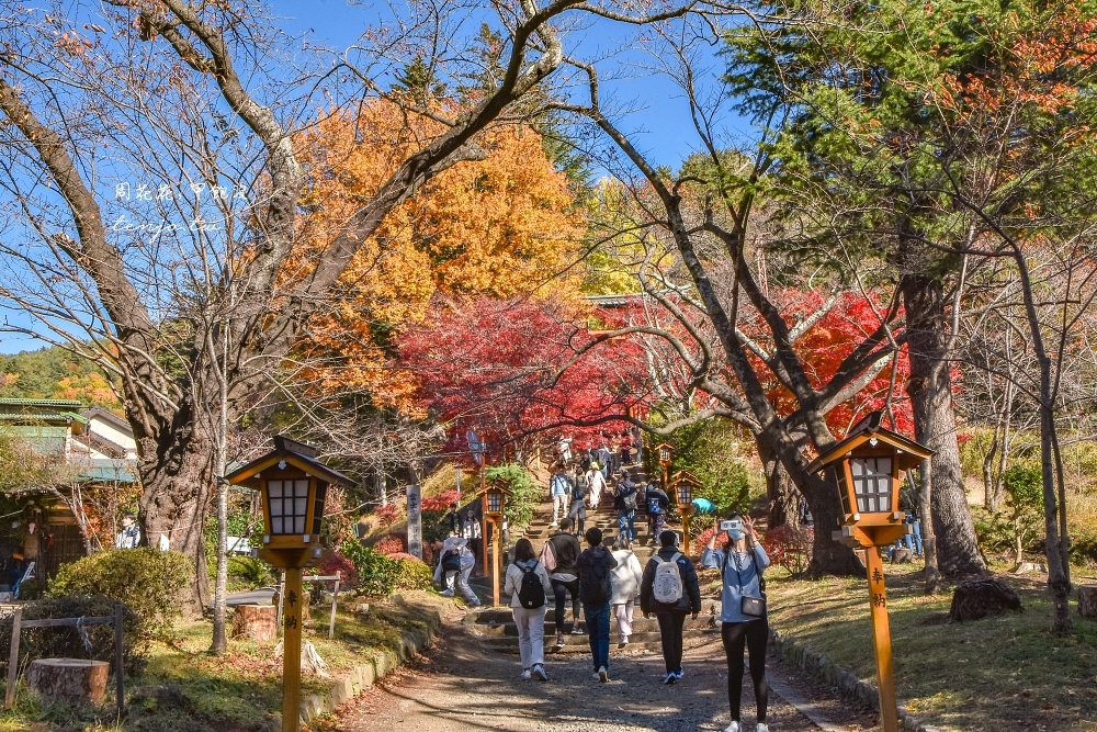 【山梨縣景點】新倉富士淺間神社 絕美富士山景！河口湖紅葉櫻花景點推薦一日遊交通方便