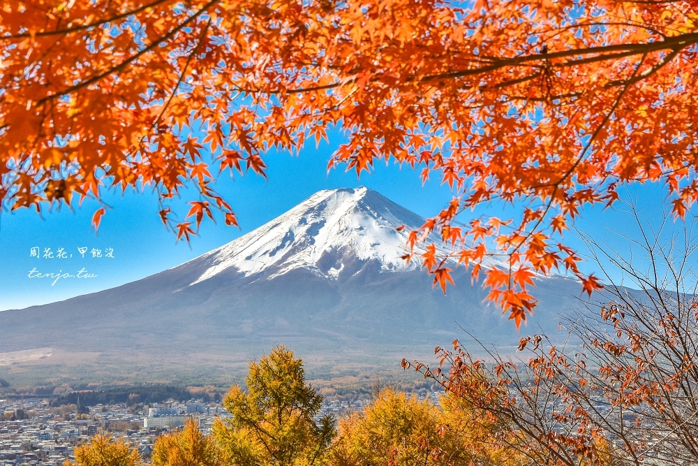 【山梨縣景點】新倉富士淺間神社 絕美富士山景！河口湖紅葉櫻花景點推薦一日遊交通方便