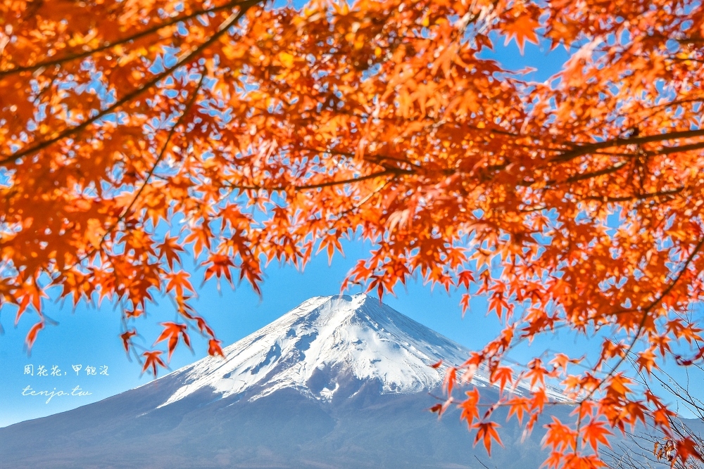 【山梨縣景點】新倉富士淺間神社 絕美富士山景！河口湖紅葉櫻花景點推薦一日遊交通方便