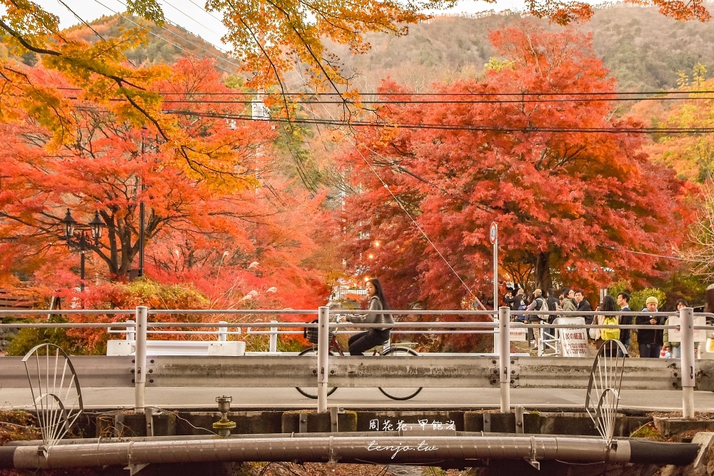 【富士山楓葉景點】河口湖紅葉迴廊 漫步紅葉隧道夜間點燈超浪漫！紅葉祭賞楓怎麼去交通