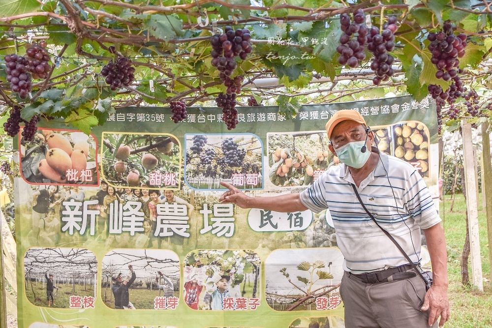 【台中新社景點】新峰農場採果體驗 在葡萄樹下吃在地食材下午茶！門票價格價錢交通資訊