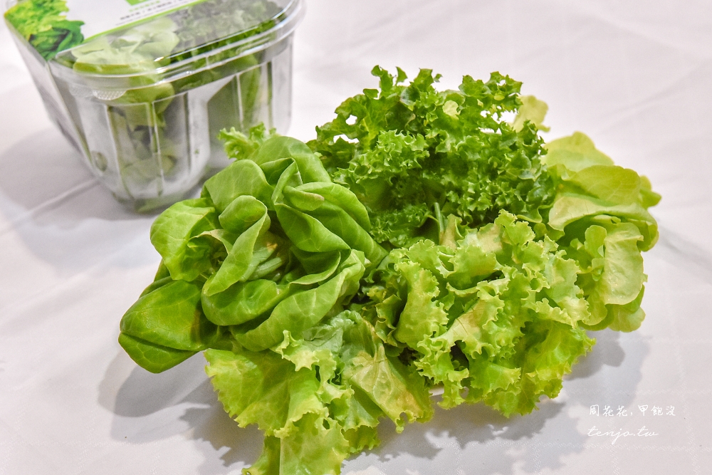 【宅配美食推薦】NICE GREEn 美蔬菜 生菜線上買第一品牌！無塵無毒無菜蟲不用洗就能吃