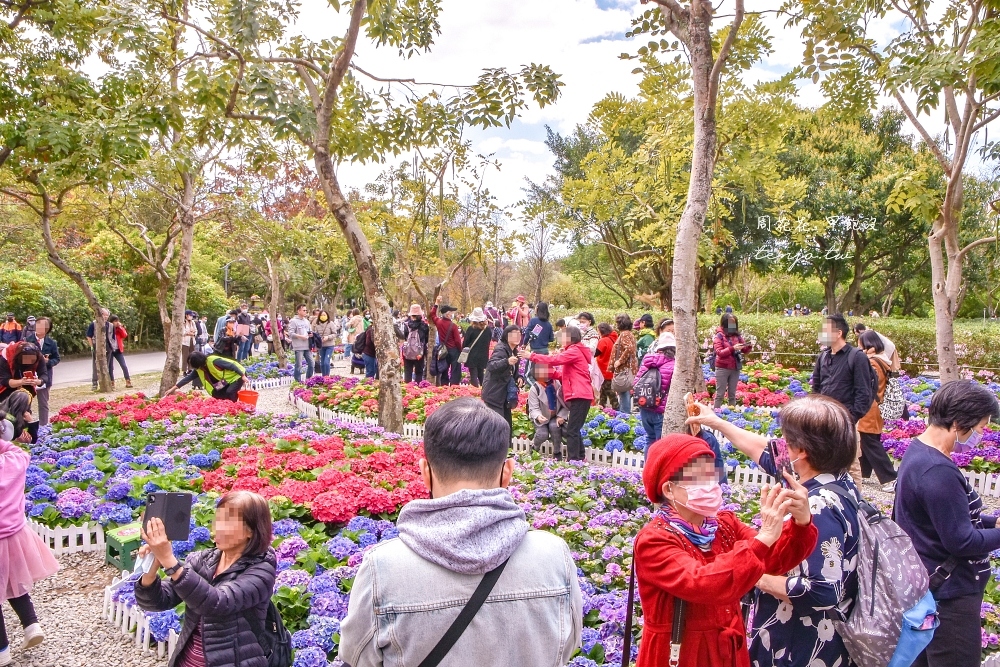 【台北景點】大安森林公園繡球花季杜鵑花季：2023年最新花展花況，交通資訊走幾號出口