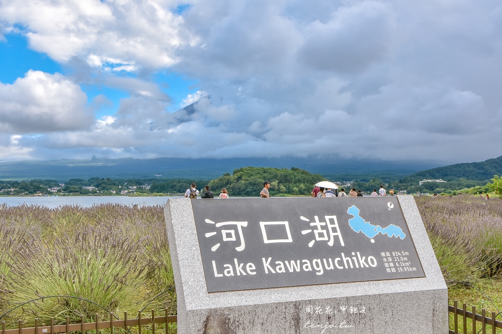【河口湖景點】大石公園 河口湖自然生活館 隱藏版二樓咖啡廳看富士山！交通巴士開放時間
