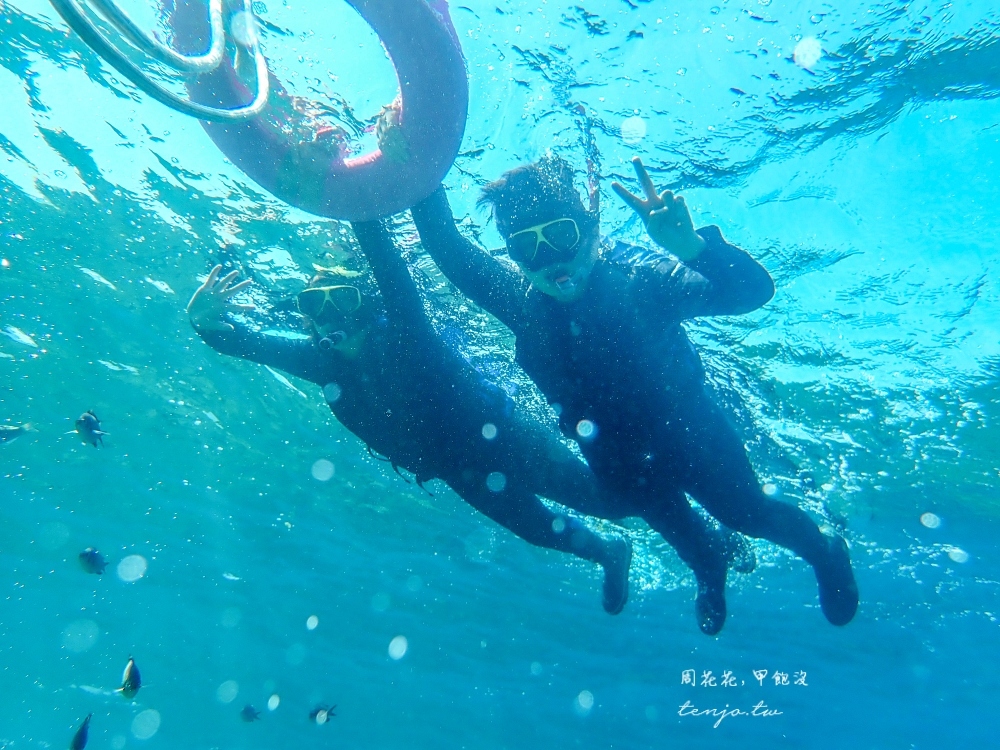 【小琉球浮潛店家推薦】小海龜浮潛 專業教練帶領價格合理！海龜熱帶魚合照照片免費送